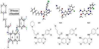 Deducing the Conformational Properties of a Tyrosine Kinase Inhibitor in Solution by Optical Spectroscopy and Computational Chemistry